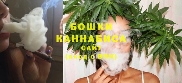 ПСИЛОЦИБИНОВЫЕ ГРИБЫ Карталы