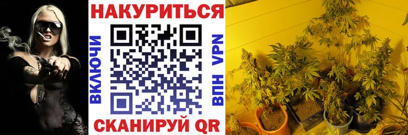 Купить закладки  Гороховец  Каннабис семена 
